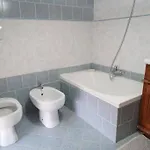 Alvi Palmieri Ferienhaus *